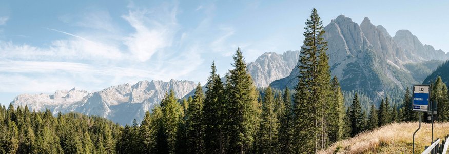 Wald vor den Dolomiten mit Straßenschild nach Cortina