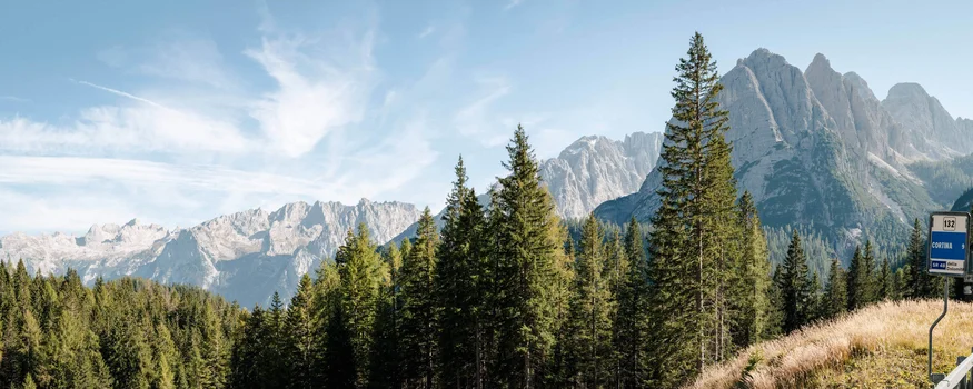 Pässewunder Cortina d‘Ampezzo © Josef Plaickner Wald vor den Dolomiten mit Straßenschild nach Cortina