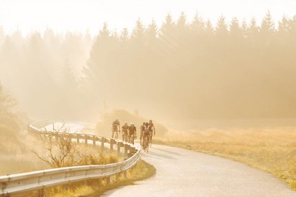 Gruppe von Radfahrern auf geschwungener Straße im Sonnenlicht