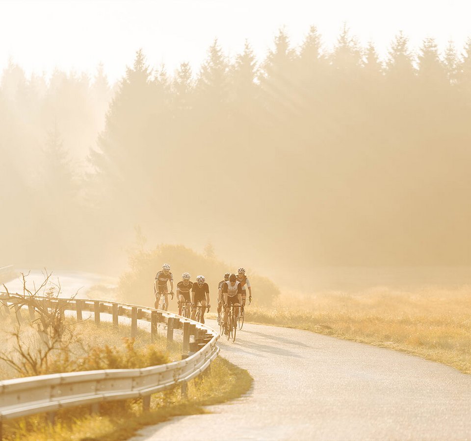 Gruppe von Radfahrern auf geschwungener Straße im Sonnenlicht