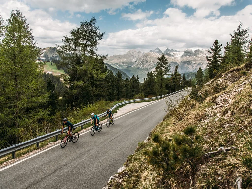 Drie fietsers op een bergweg met dennenbomen en bergen op de achtergrond