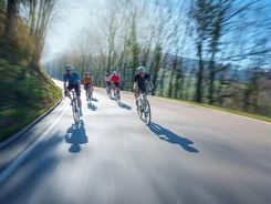 Group of cyclists riding fast on a road through the forest on a sunny day