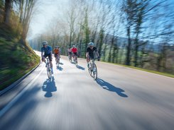 St. Pölten © Flashface - Josef Bollwein Group of cyclists riding fast on a road through the forest on a sunny day