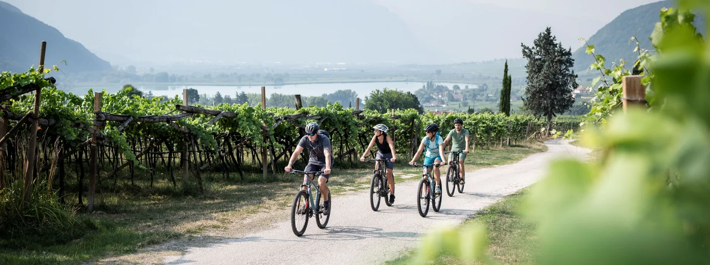 Mitterbergrunde © IDM Südtirol - Alex Filz Vier Personen fahren mit Fahrrädern auf einem Weg durch Weinberge