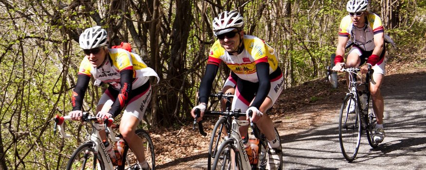 Goldener Herbst auf dem Rennrad in Tramin Drei Radfahrer fahren mit Helmen und Sportkleidung auf einem Waldweg