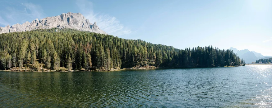 Lago con riva boscosa e montagna sullo sfondo sotto il cielo sereno