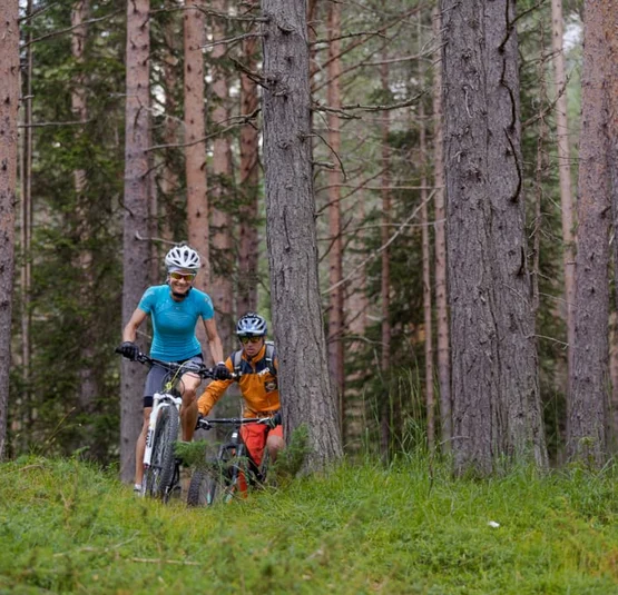 E-Bike Full Immersion Week Twee fietsers rijden door een dicht bos met hoge bomen