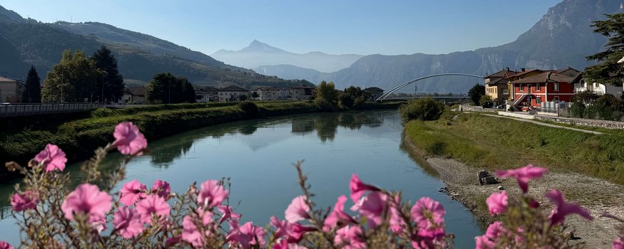Fluss mit rosa Blumen im Vordergrund und Bergen im Hintergrund bei klarem Himmel
