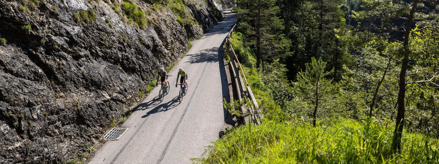 Twee fietsers op een bergweg in een bosrijk gebied bij zonnig weer