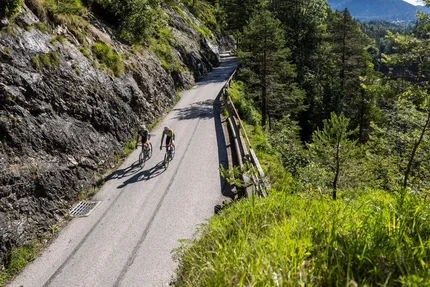 Due ciclisti su una strada di montagna in una zona boschiva soleggiata