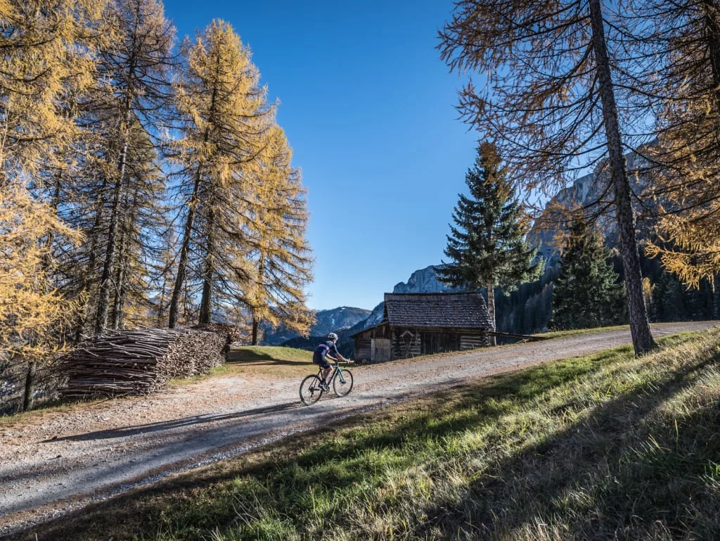 Ciclista su sentiero nel bosco con alberi autunnali e baita di legno