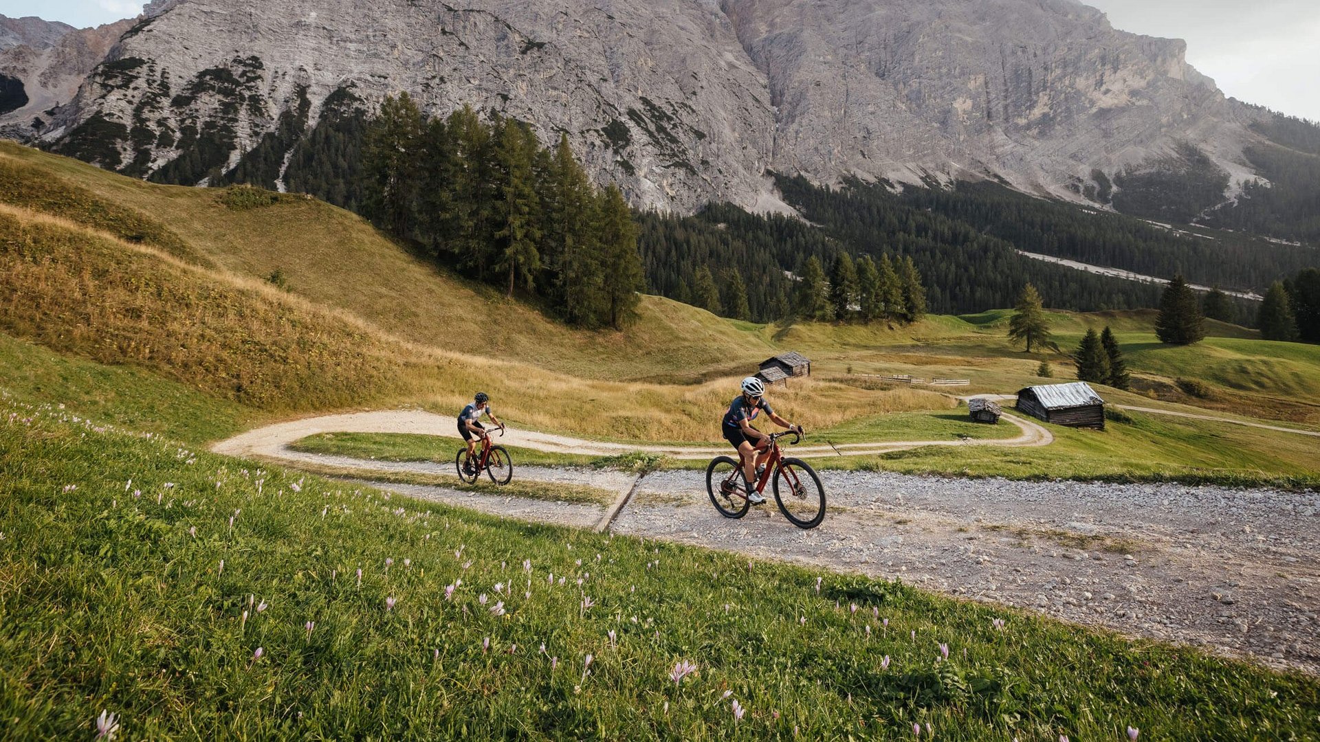 Two cyclists on a mountain trail with Alps in the background