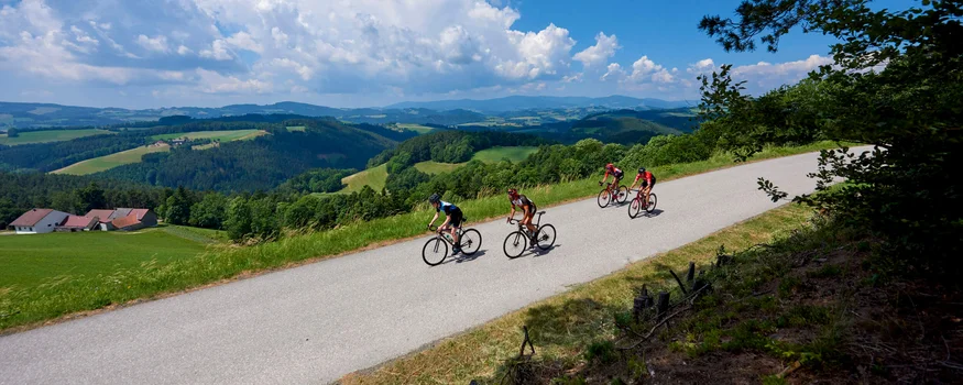 Bucklige Welt © Joris Lugtigheid Four cyclists ride on a country road with green hills and a blue sky