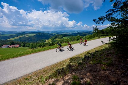 Vier Radfahrer fahren auf einer Landstraße mit grüner Hügellandschaft und blauem Himmel