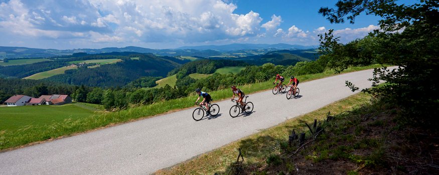 Bucklige Welt © Joris Lugtigheid Quattro ciclisti su una strada di campagna con colline verdi e cielo azzurro