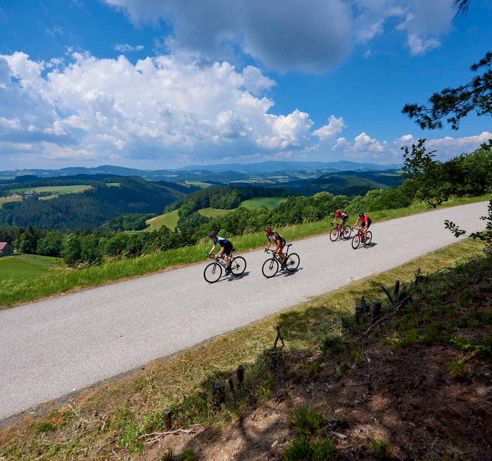 Mit Profis trainieren im Krumbacherhof © Joris Lugtigheid Vier Radfahrer fahren auf einer Landstraße mit grüner Hügellandschaft und blauem Himmel