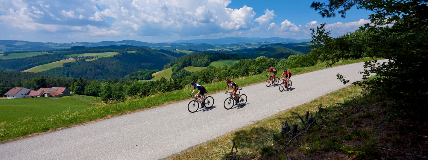 Four cyclists ride on a country road with green hills and a blue sky