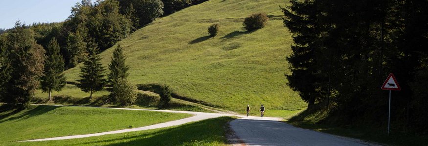 Ciclisti su strada di campagna con collina verde e alberi