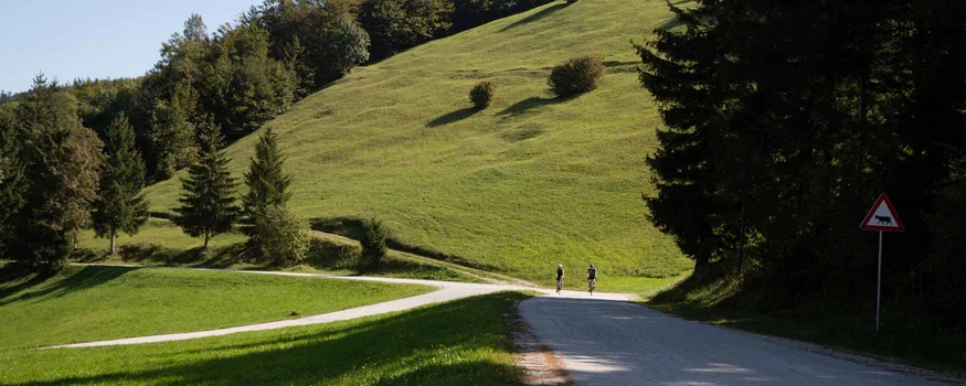 Savinja Tal © Kaja Ribezl Radfahrer auf Landstraße vor grünem Hügel und Bäumen