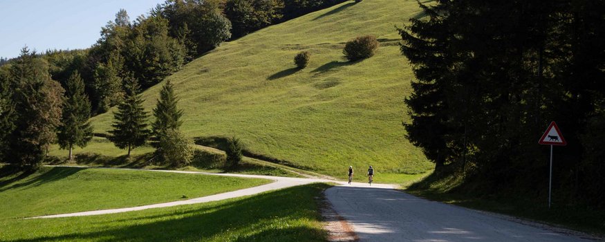 Cyclists on country road with green hill and trees