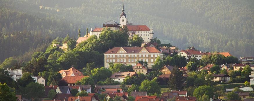 View of village with castle on forested hill in the background