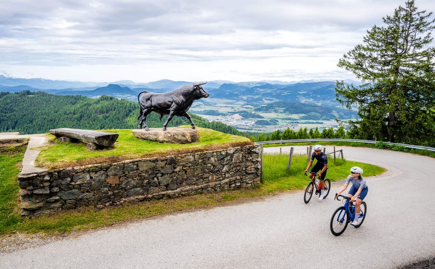 Road bike holiday in Central Carinthia © Michael Stabentheiner Two cyclists riding past a bull statue on a mountain road