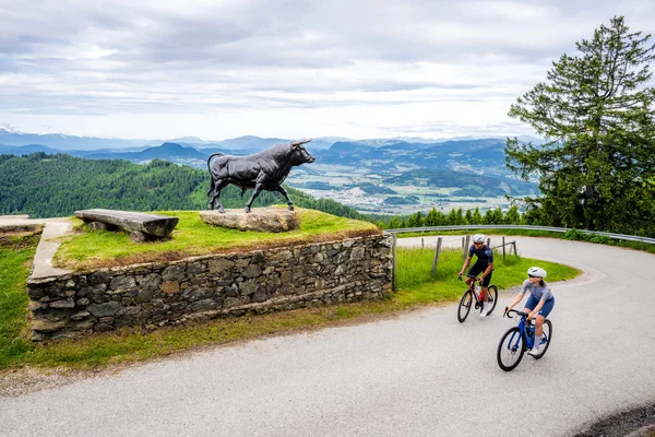 Oostenrijk © Michael Stabentheiner Twee fietsers rijden langs een stierenbeeld op een bergweg