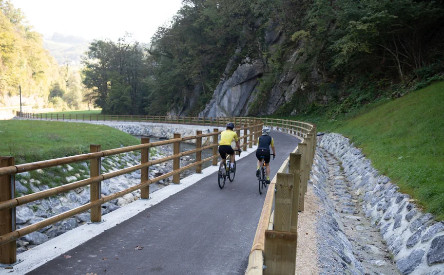 Zwei Radfahrer auf einem asphaltierten Radweg in grüner Landschaft