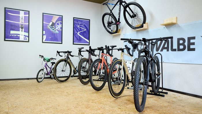 Verschiedene Fahrräder stehen und hängen an der Wand in einem Raum mit Holzfußboden
