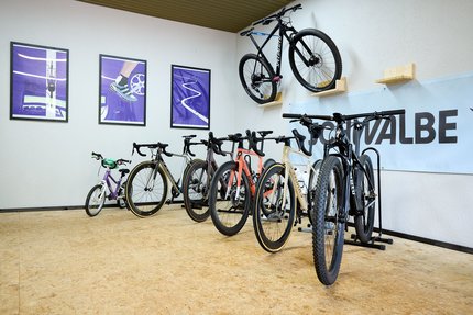 Verschillende fietsen staan en hangen aan de muur in een kamer met houten vloer