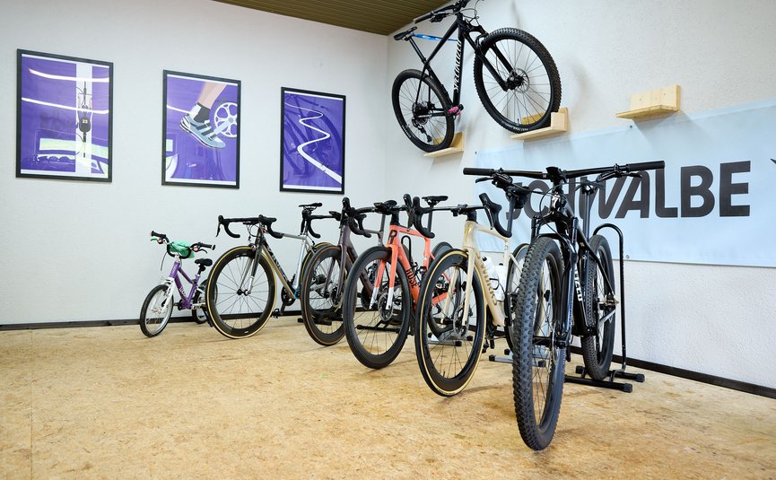 Verschiedene Fahrräder stehen und hängen an der Wand in einem Raum mit Holzfußboden