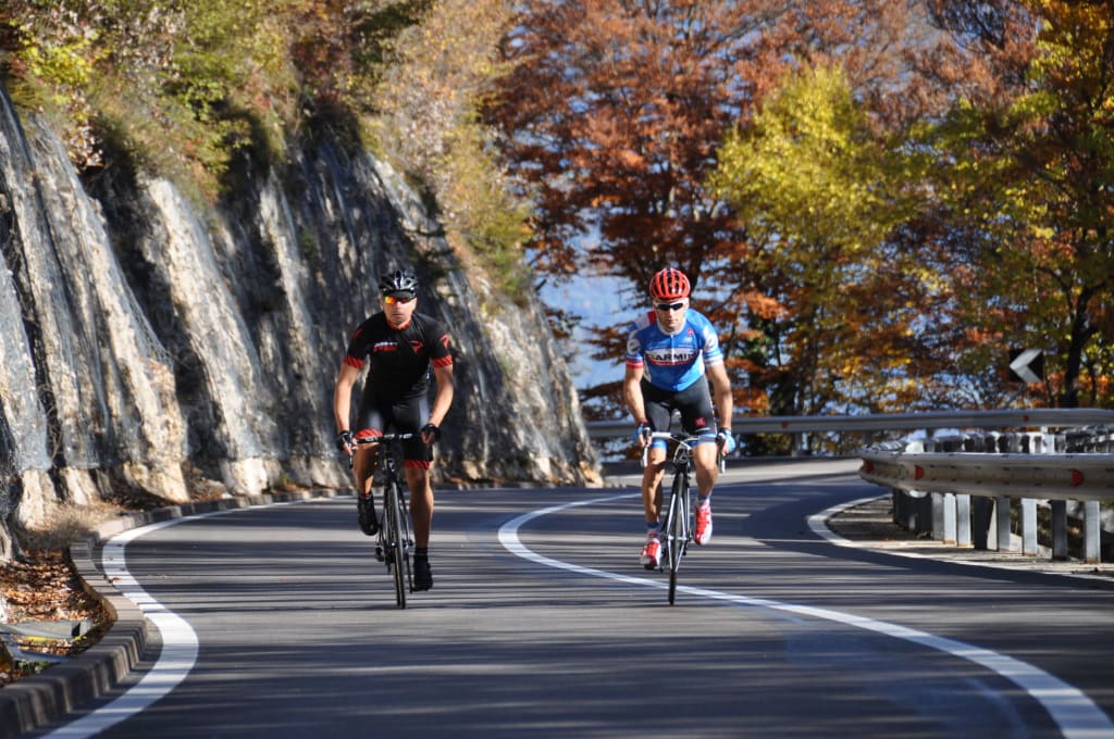 Two cyclists riding on a winding road through autumn forest