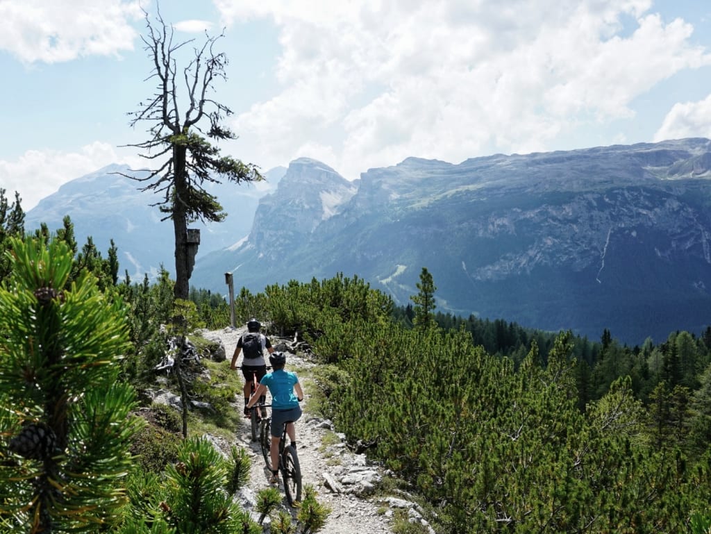 Due ciclisti su un sentiero di montagna tra pini e montagne