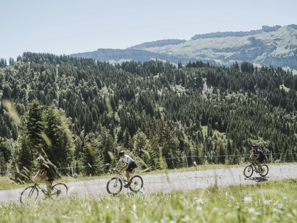 Three cyclists on a mountain trail with forest and mountains in the background