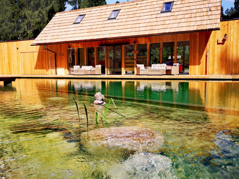 Naturbadeteich © Ribno Alpin Resort