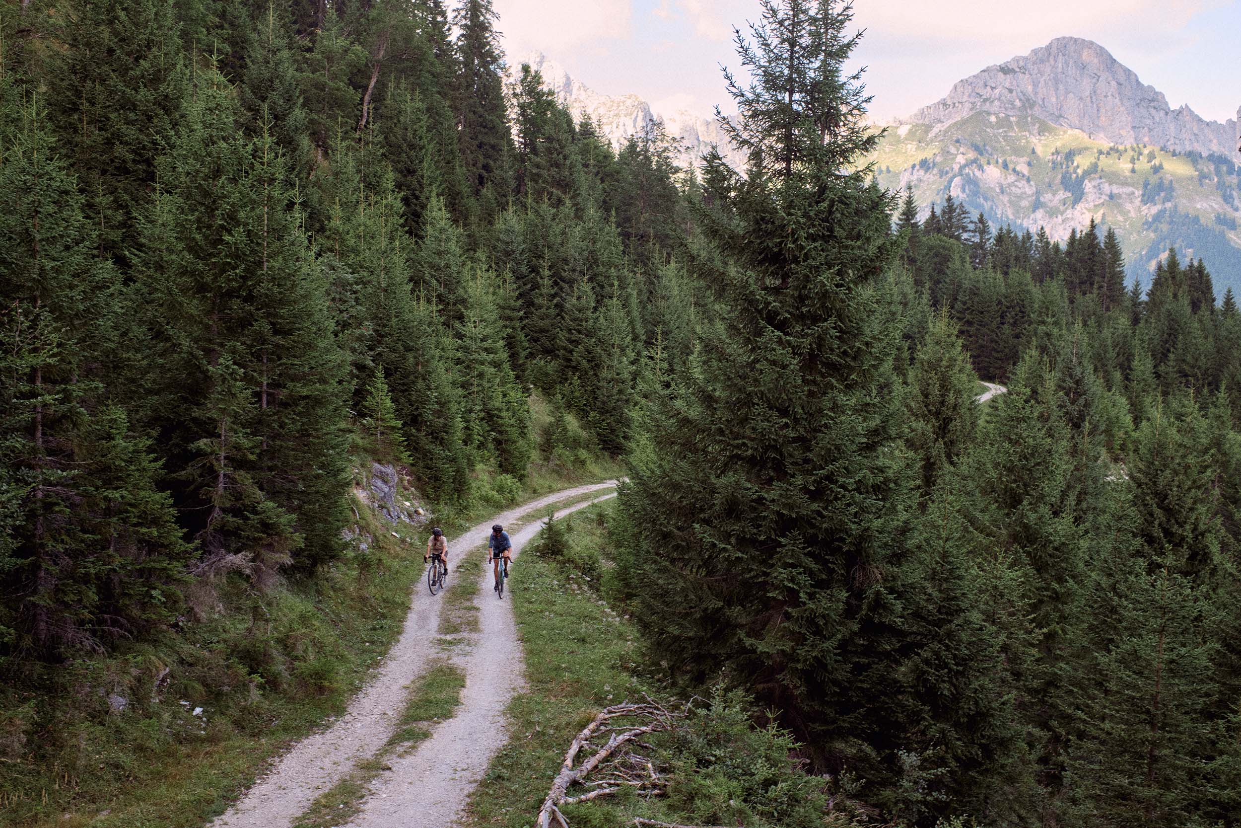 Durch den Wald des Tannheimer Tals © Tirol Werbung / Olaf Unverzart